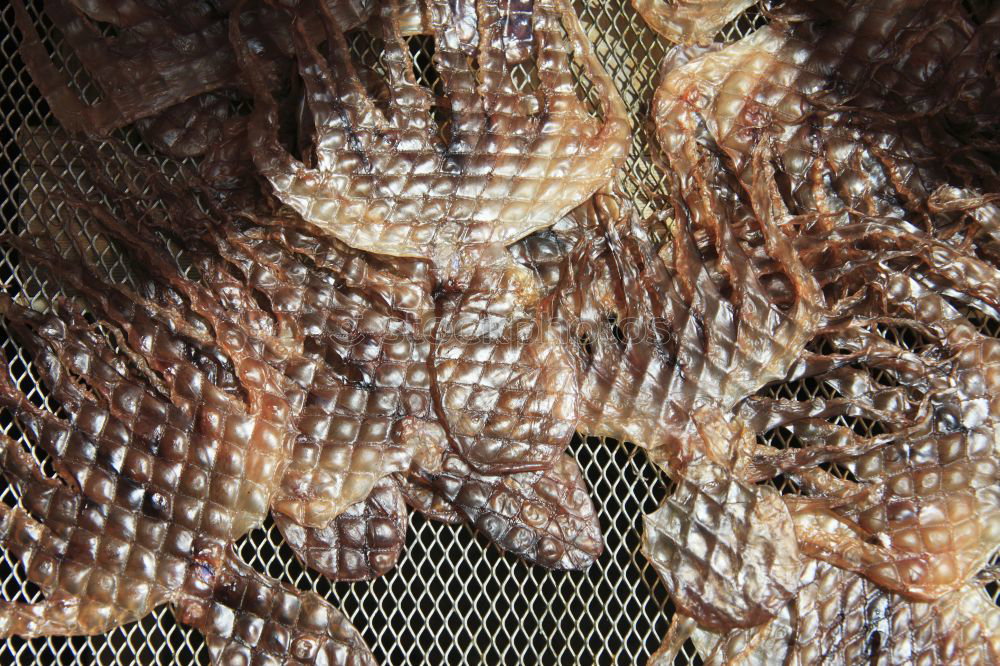 Similar – Image, Stock Photo lixed screw Screw Search