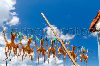 Similar – Tibetan prayer flags