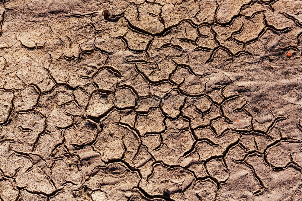 Similar – Image, Stock Photo Mini Grand Canyon Dry