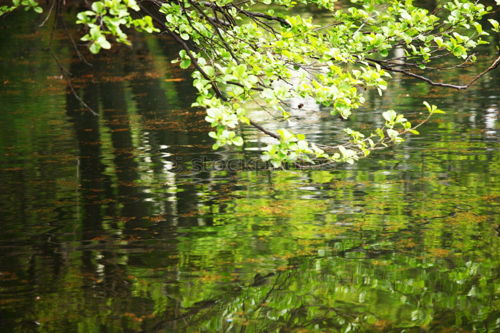 Image, Stock Photo go over the river Wupper