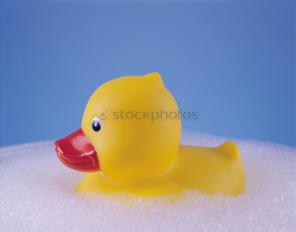 Similar – squeaky duck Bathtub Toys