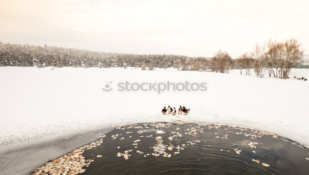 Similar – Foto Bild winterspaziergang