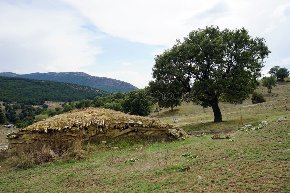 Similar – Image, Stock Photo Orphaned theme park landscape in Albania Gjirokastra