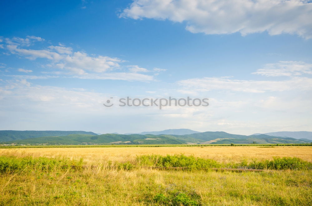 Similar – Blick auf die Nordsee Feld