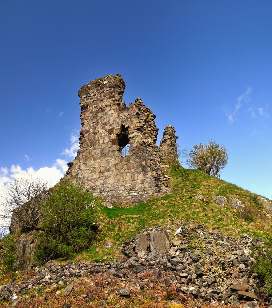 Similar – Foto Bild Auf der Höhe sein Natur