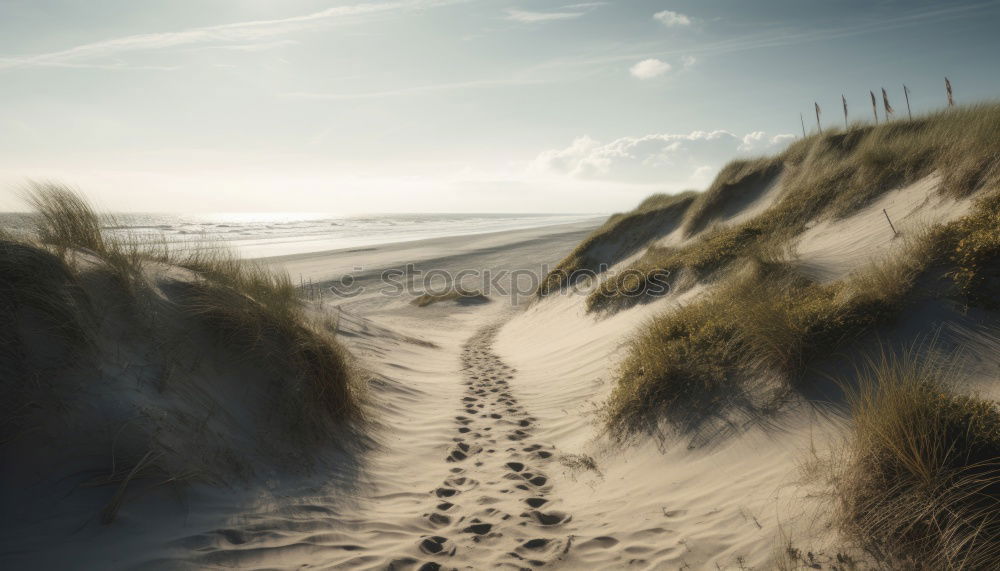 Similar – Image, Stock Photo Kattegat Landscape Sand