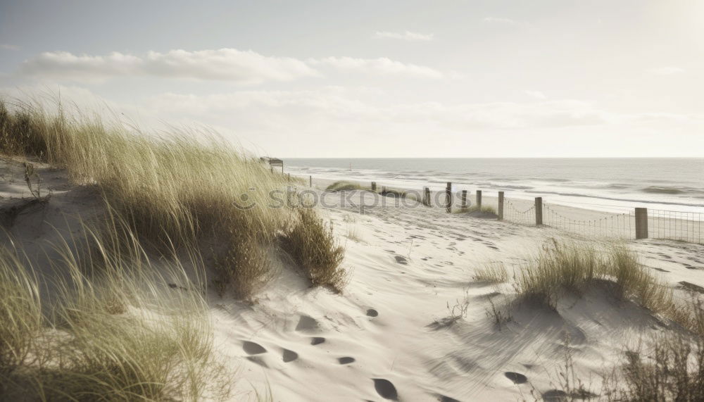 Image, Stock Photo Heiligendamm Environment