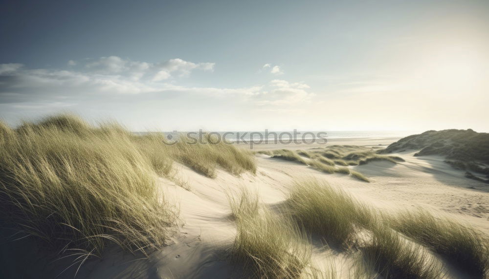 Similar – Image, Stock Photo Landscape in the dunes on the island of Amrum