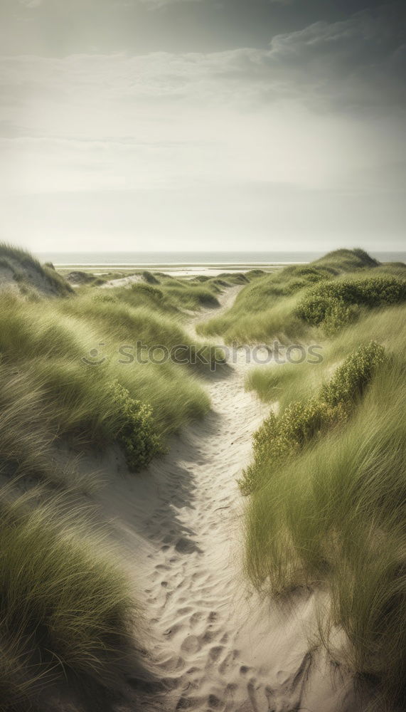 Similar – Image, Stock Photo Kattegat Landscape Sand