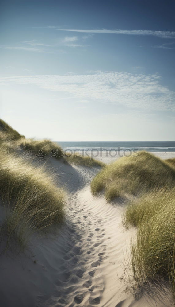 Similar – Image, Stock Photo Kattegat Landscape Sand