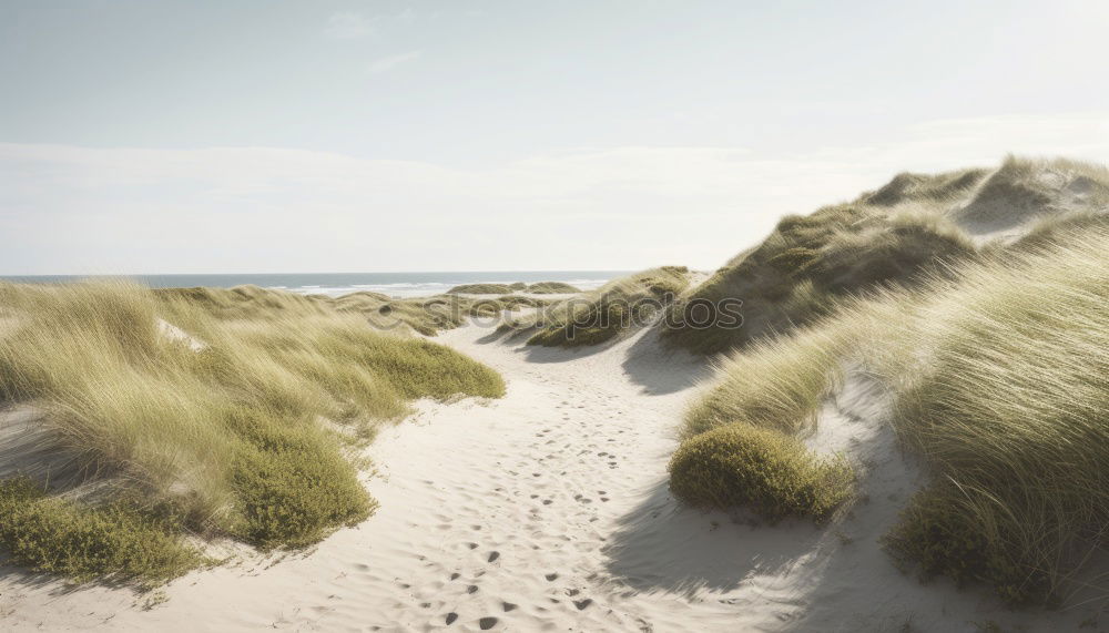 Similar – Image, Stock Photo View over the Baltic Sea beach