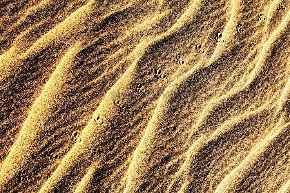 Similar – beach shapes Sand Beach