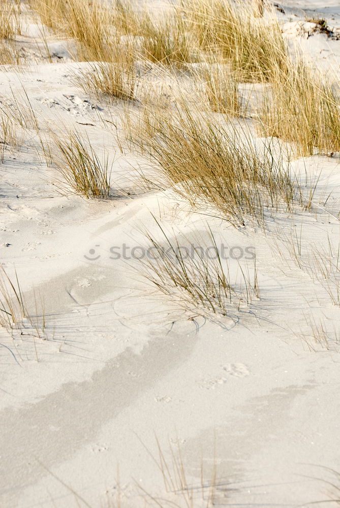 Similar – Image, Stock Photo Baltic Vacation & Travel