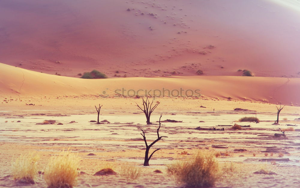 Similar – Image, Stock Photo Sandstorm in Sossusvlei #3