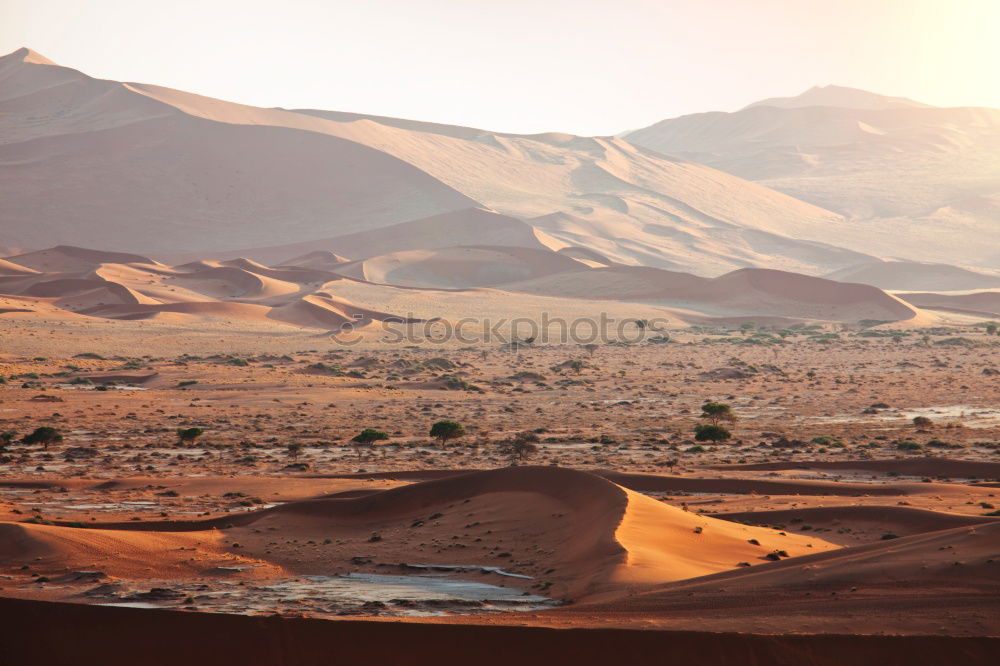 Similar – desert magic Namibia