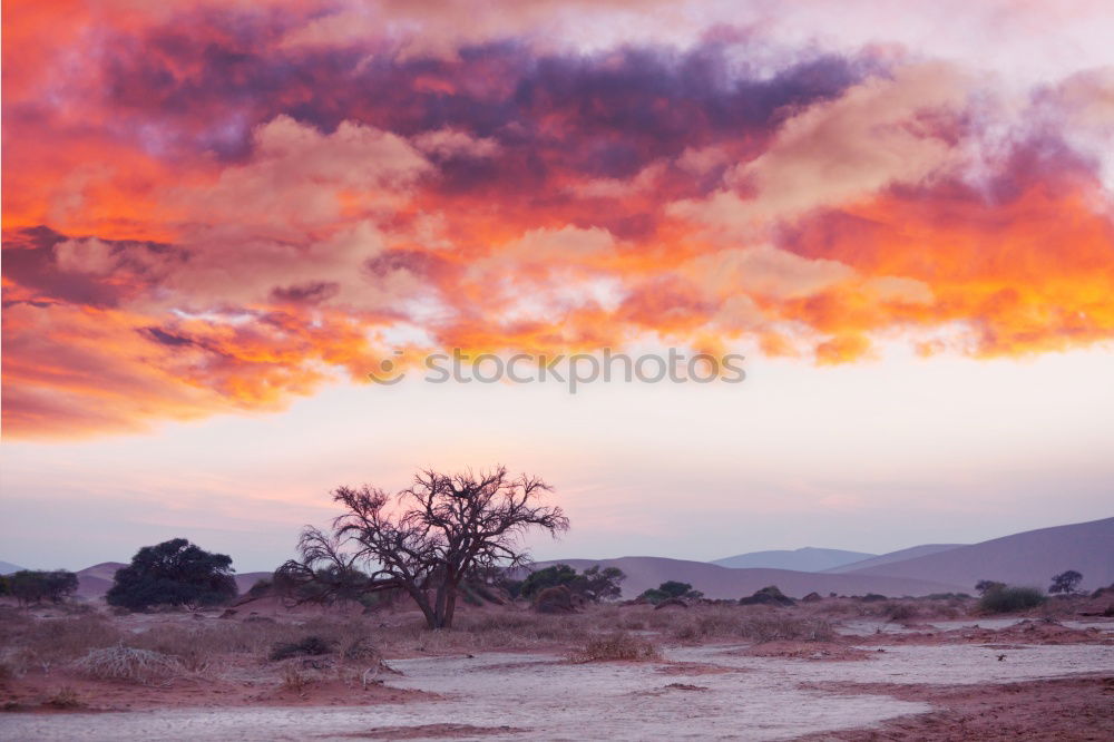 Similar – Image, Stock Photo Landscape with red sand and lighthouse