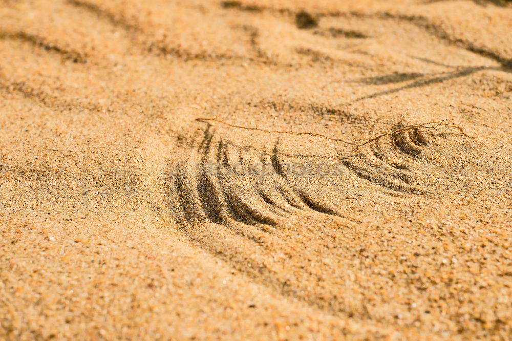 Similar – Image, Stock Photo Buffing Wheel II Nature