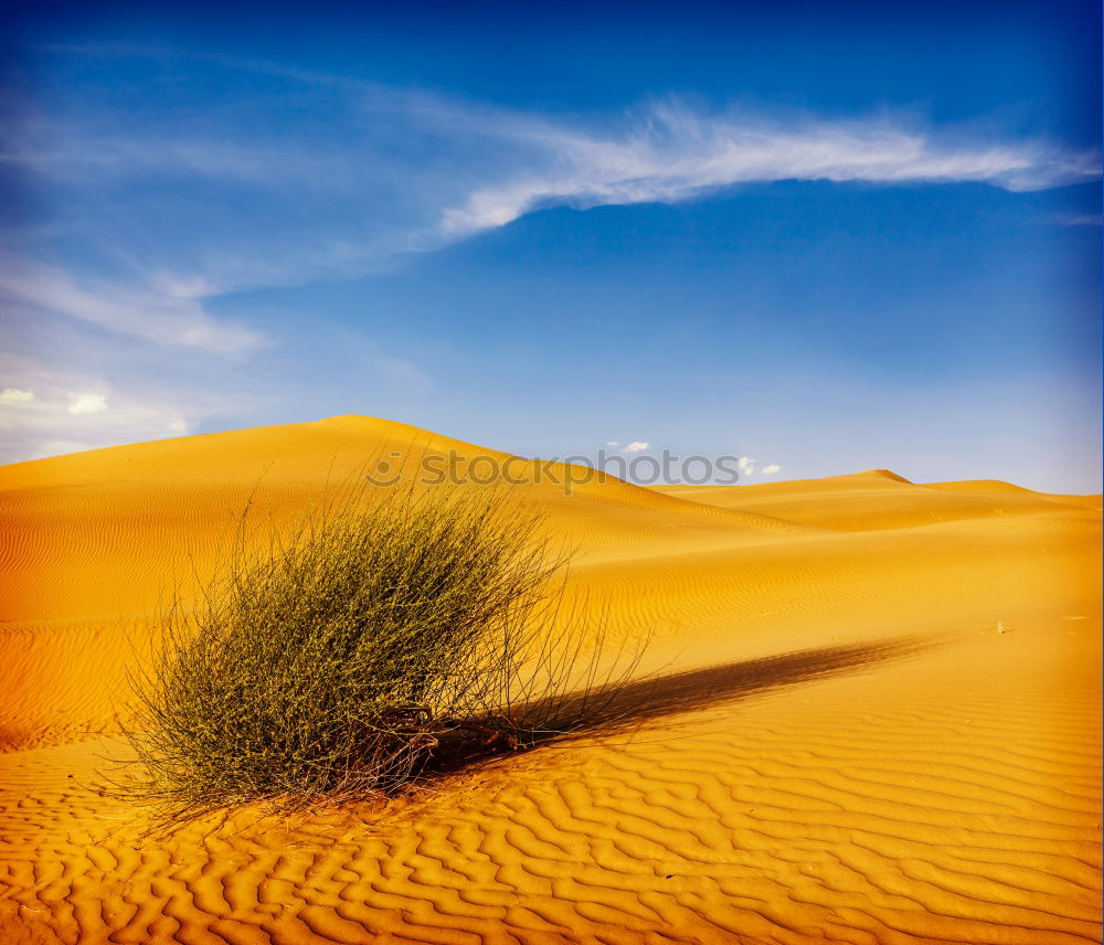 Image, Stock Photo Sahara in Morocco