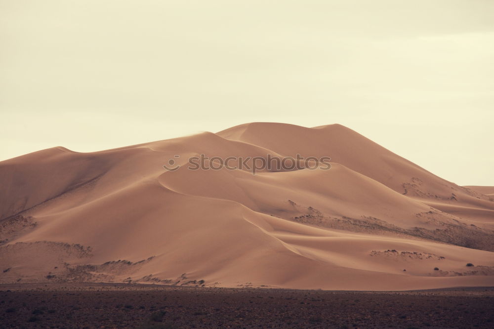 Image, Stock Photo Sand dunes Desert of Abu Dhabi United Arab Emirates