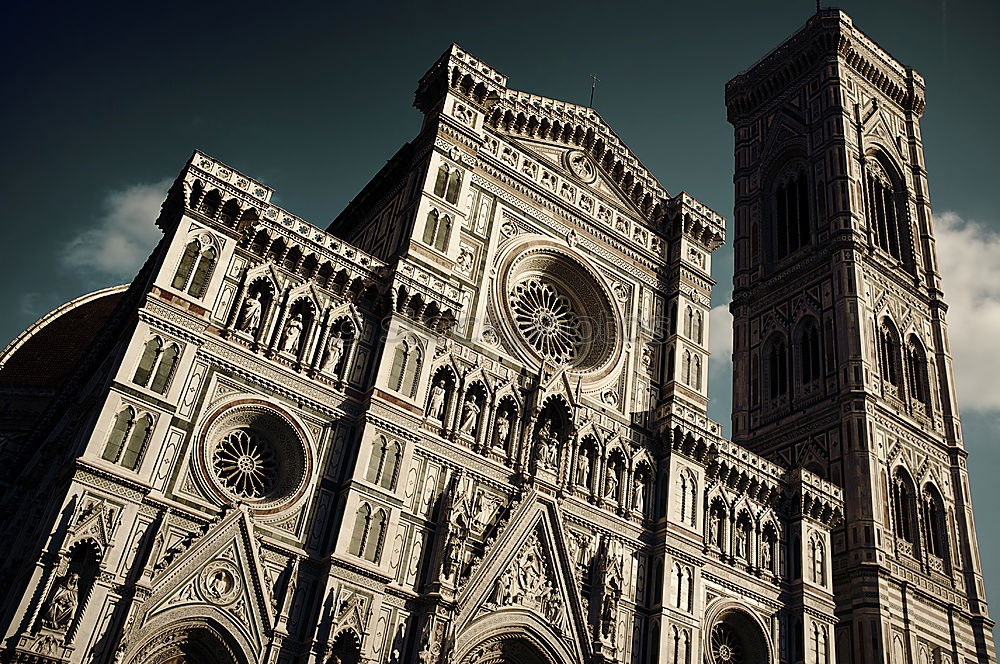 Similar – Santa Maria del Fiore II