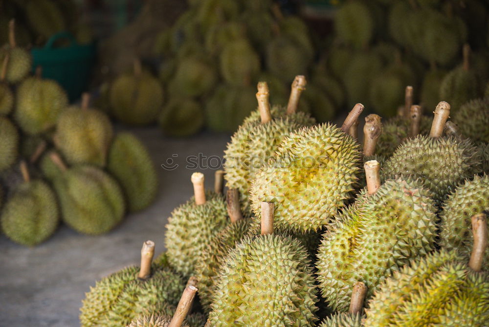 Similar – Image, Stock Photo Fig salad. Food Esthetic