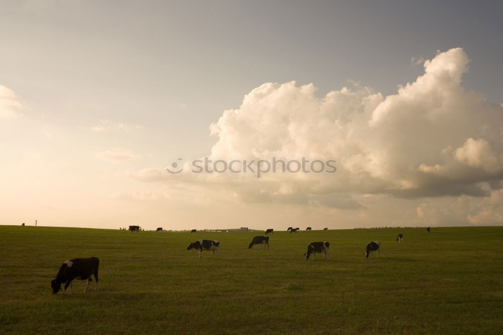 Similar – Image, Stock Photo Behind the horizon it goes on