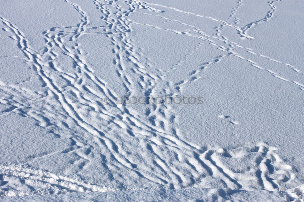 Similar – Foto Bild Mülltcontainer im Neuschnee