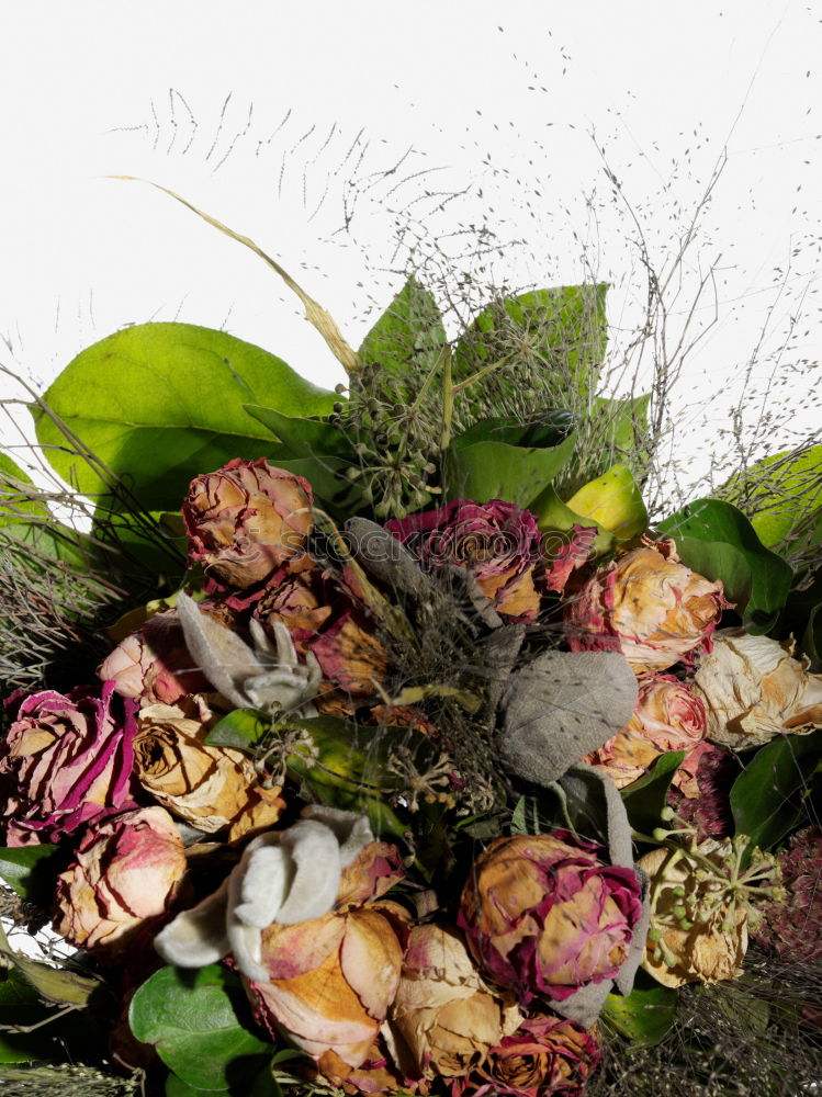 Similar – Image, Stock Photo Swabian bouquet of flowers