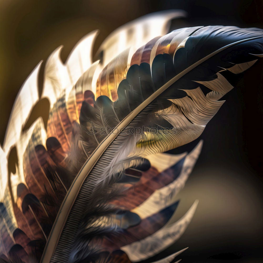 Similar – Image, Stock Photo Four white feathers with golden lace on a dark blue background