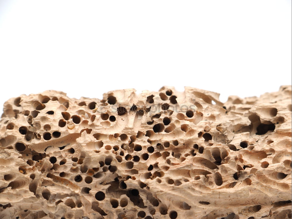 Similar – Image, Stock Photo a dough full of stars Food