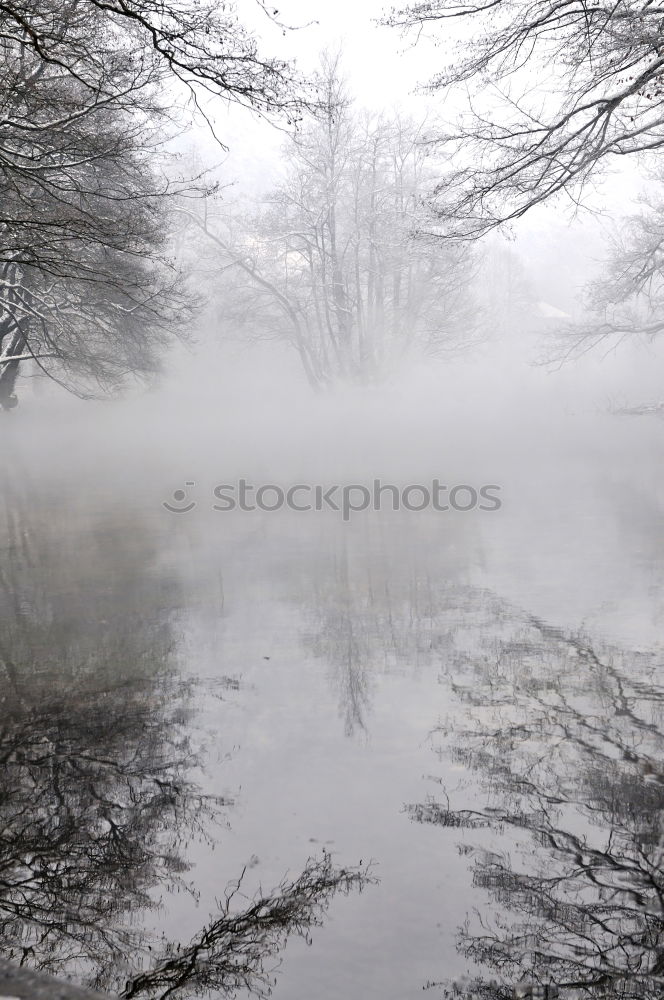 Similar – Silence in the fog Fog