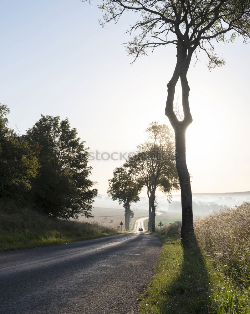 Image, Stock Photo promenade Environment