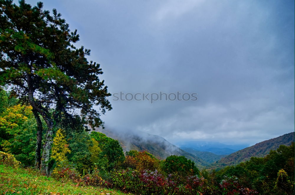 Similar – Image, Stock Photo Lone tree in autumn mountains