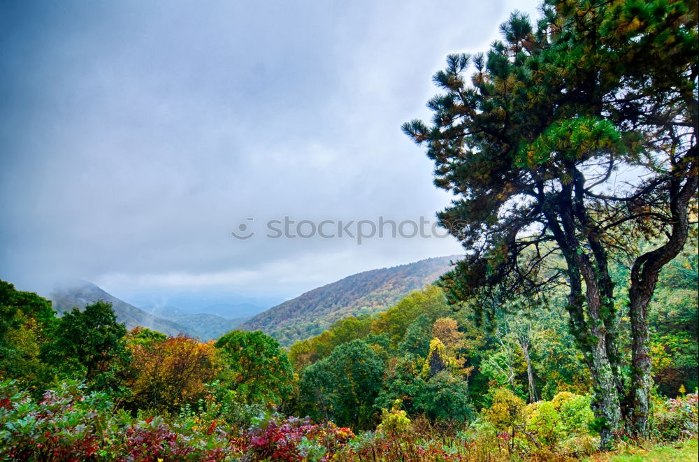 Similar – Autumn in the Pyrenees