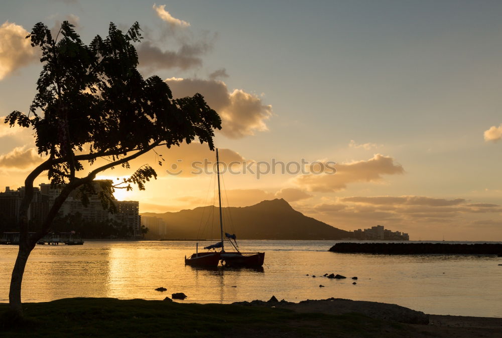 Similar – Image, Stock Photo Rio De Janeiro Town Gold