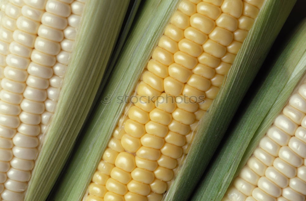 Similar – Image, Stock Photo Analog maize Food