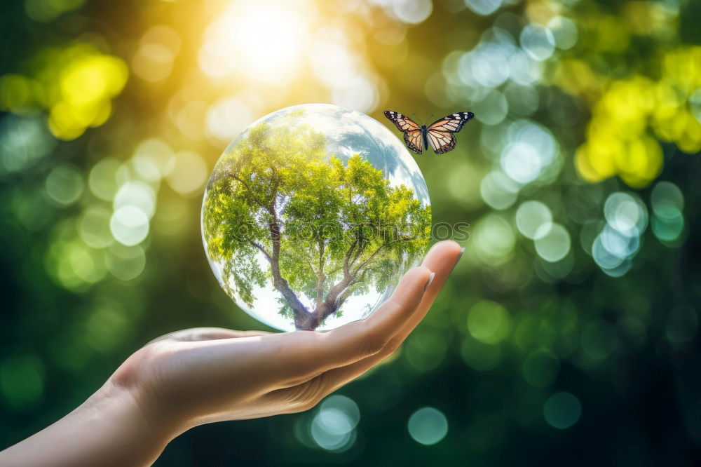 Similar – Image, Stock Photo Christmas star in hands