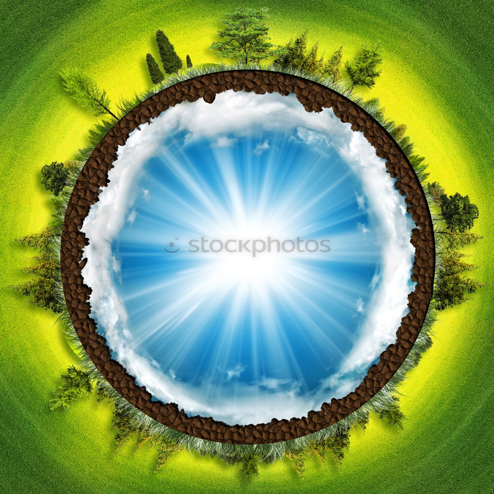 Similar – Image, Stock Photo The sheet 6 Plant Green