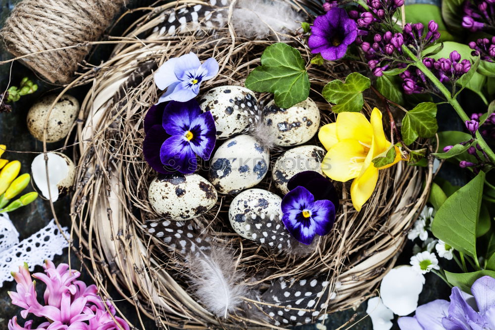 Similar – Image, Stock Photo Easter nest Event Nature