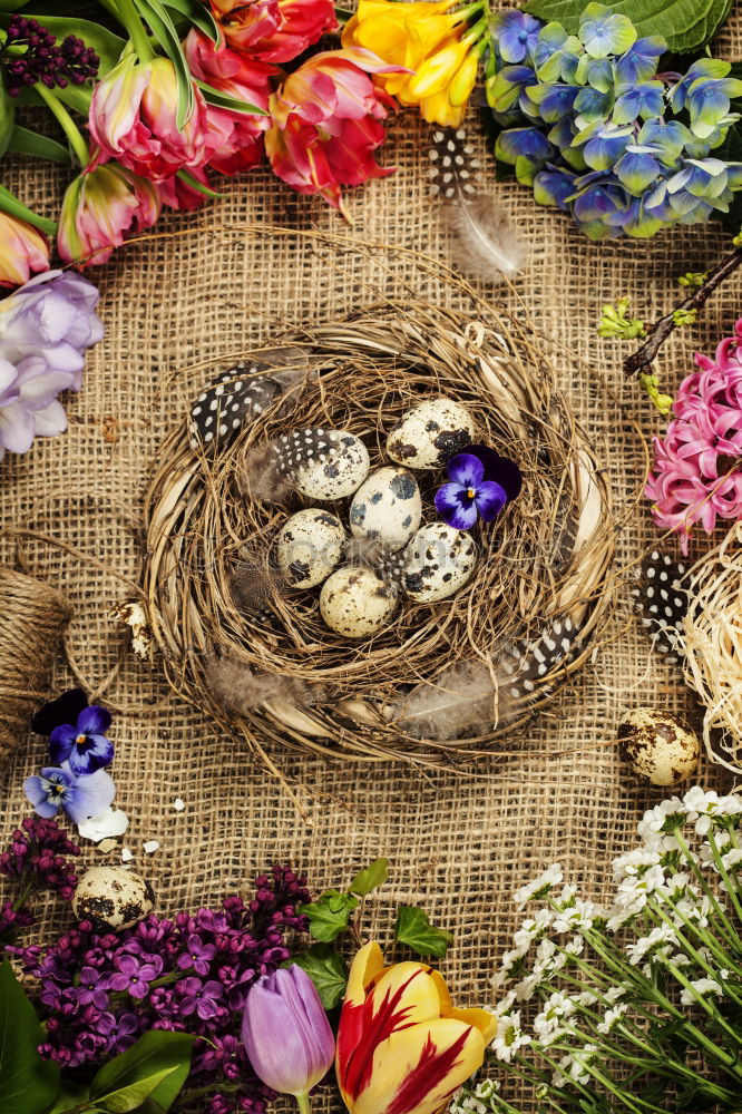 Similar – Image, Stock Photo Easter nest Event Nature