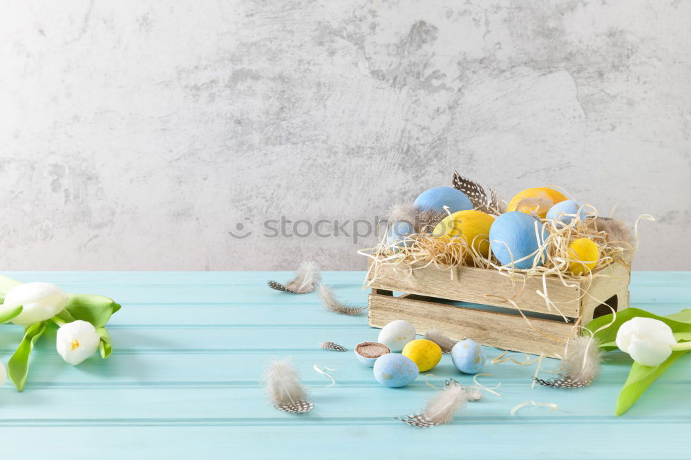 Similar – blue plates with spring flowers, table decoration