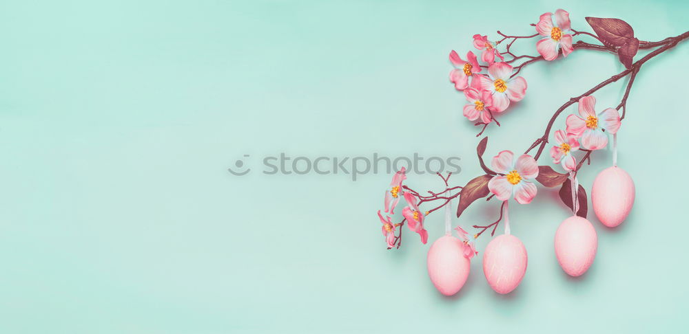 Similar – Image, Stock Photo Kischblüten branches on pastel blue