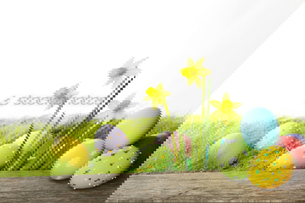 Similar – Image, Stock Photo Easter eggs Garden Nature