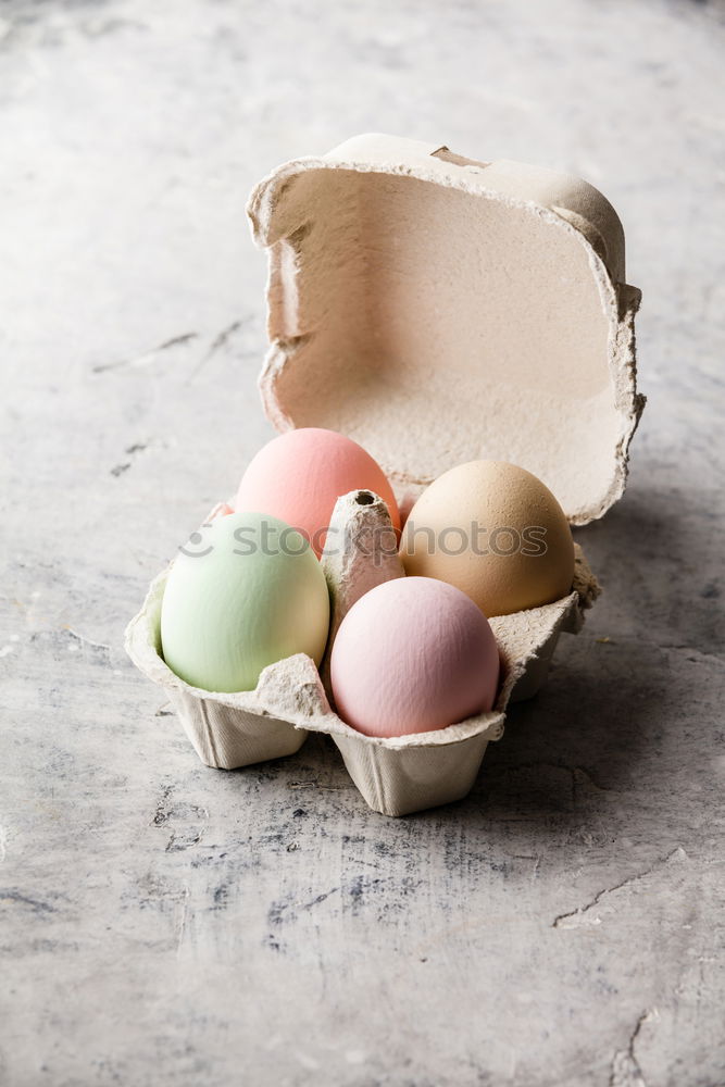 Similar – not egg_nerlei Food Egg