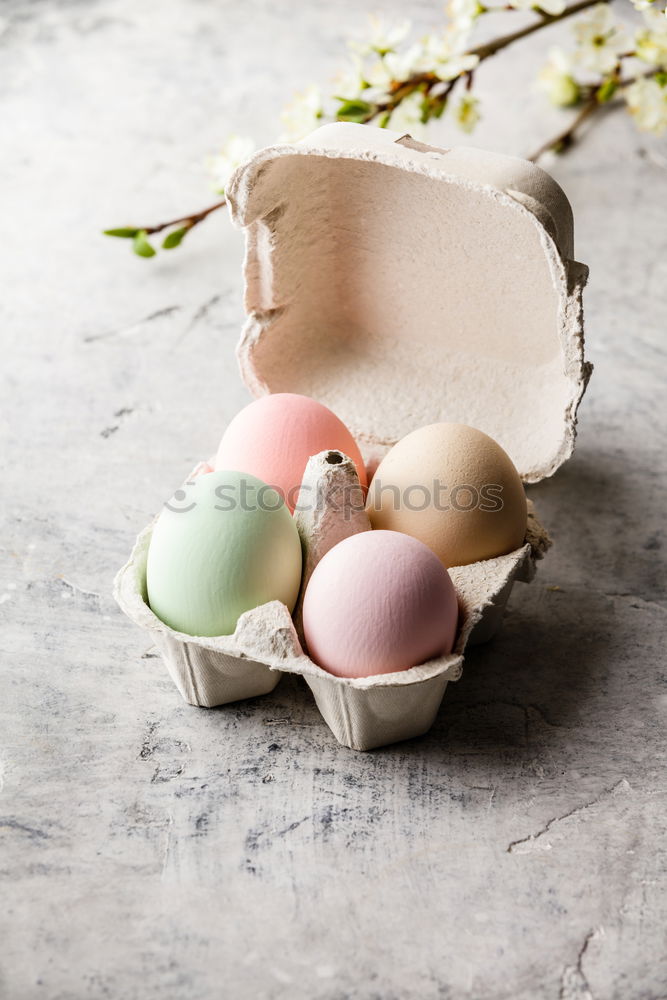 Similar – not egg_nerlei Food Egg