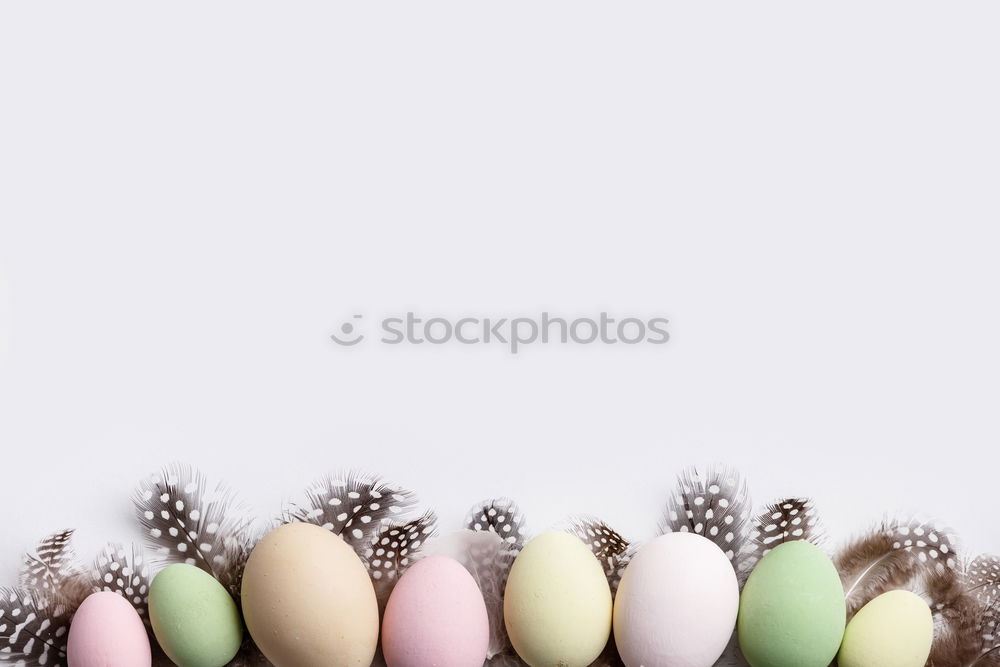 Similar – Image, Stock Photo zipfel caps Green Violet