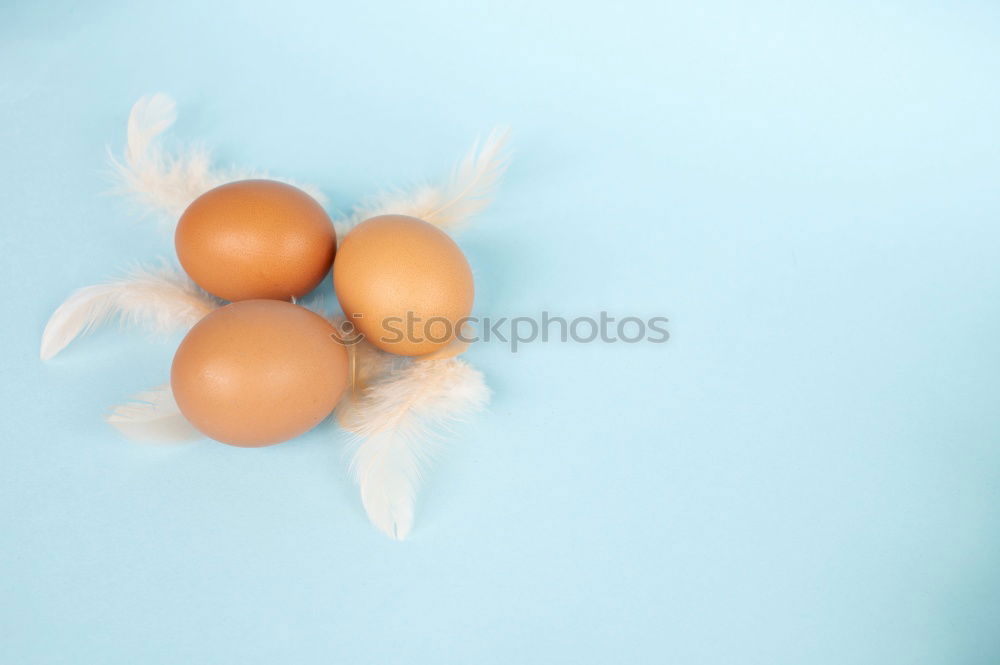 Similar – Image, Stock Photo #AS# fresh & sour Art