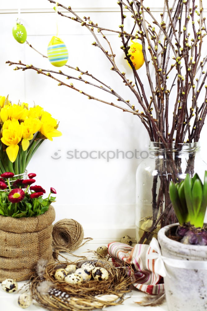 Similar – Spring flowers in white basket