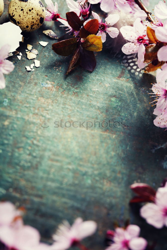 Similar – Image, Stock Photo Hanging flower pot with petunias on summer garden