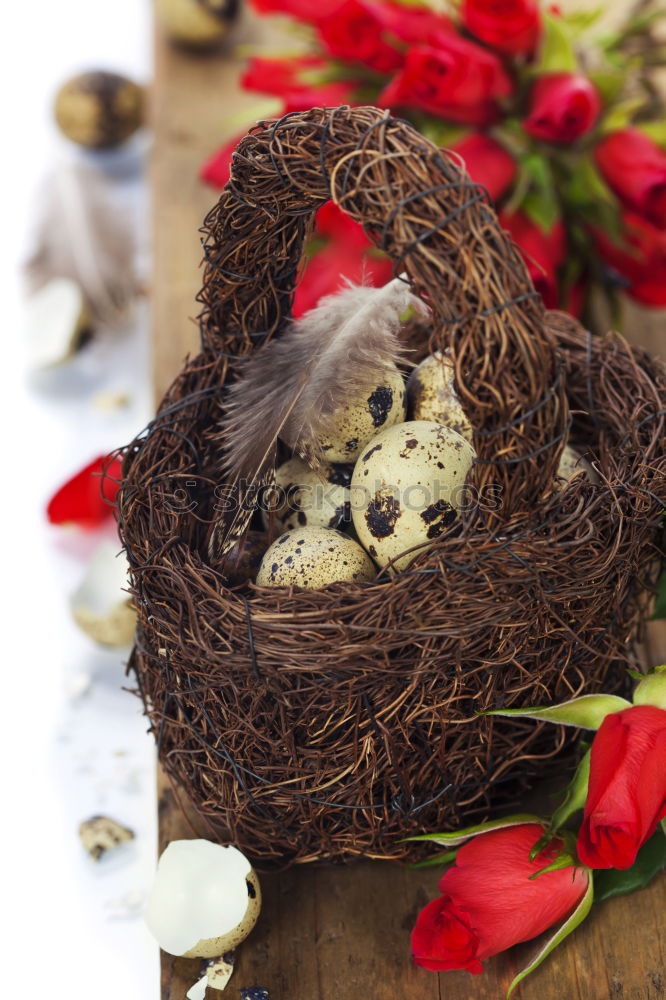 Similar – Image, Stock Photo Easter nest Event Nature